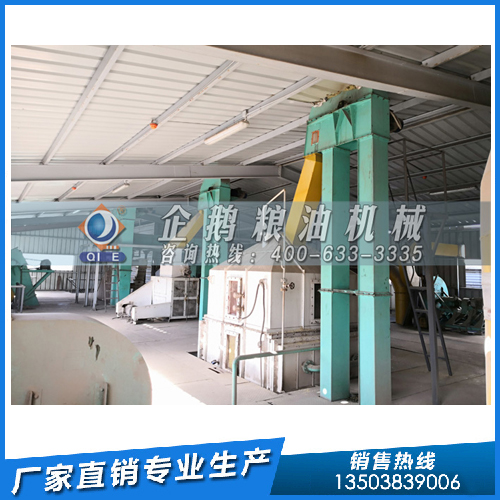 投資建設葵花籽油廠，企鵝糧油機械可達到客戶的預期